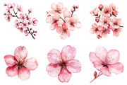 Cherry blossom branch Clipart, a Seasonal Illustration by Designking (Thumbnail 4 of 5)