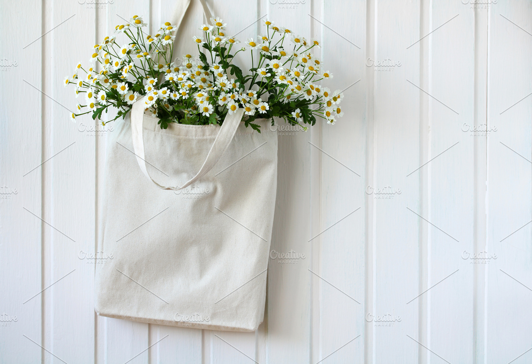 cloth bag with daisies, a Photo by BalaguR
