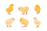 Hens, Chicks and Roosters, an Icon by Elena Istomina (Thumbnail 3 of 6)
