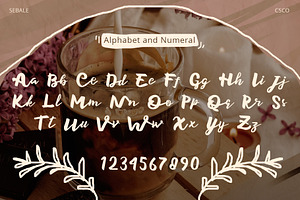 Sebale Handwritten Script