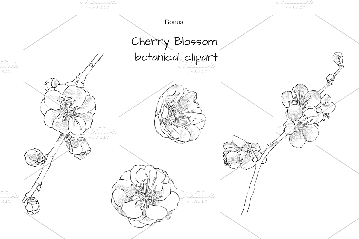 Lisianthus Floral Set, an Object Graphic by VictoriaKStudio (Photo 2 of 5)
