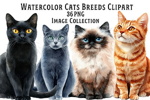 Watercolor Cat Breeds Clipart, an Illustration by Dream Creation