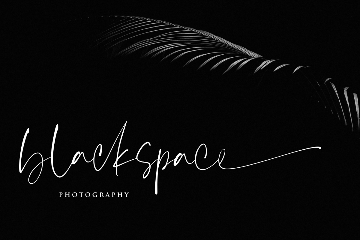 Bintaro - Modern Script Font preview 4