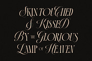 La Primera Ligature Serif, a Serif Font by Letteralle Studios (Thumbnail 10 of 13)