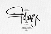 Aerial Perspective, a Handwritten Font by Cititype (Thumbnail 5 of 16)