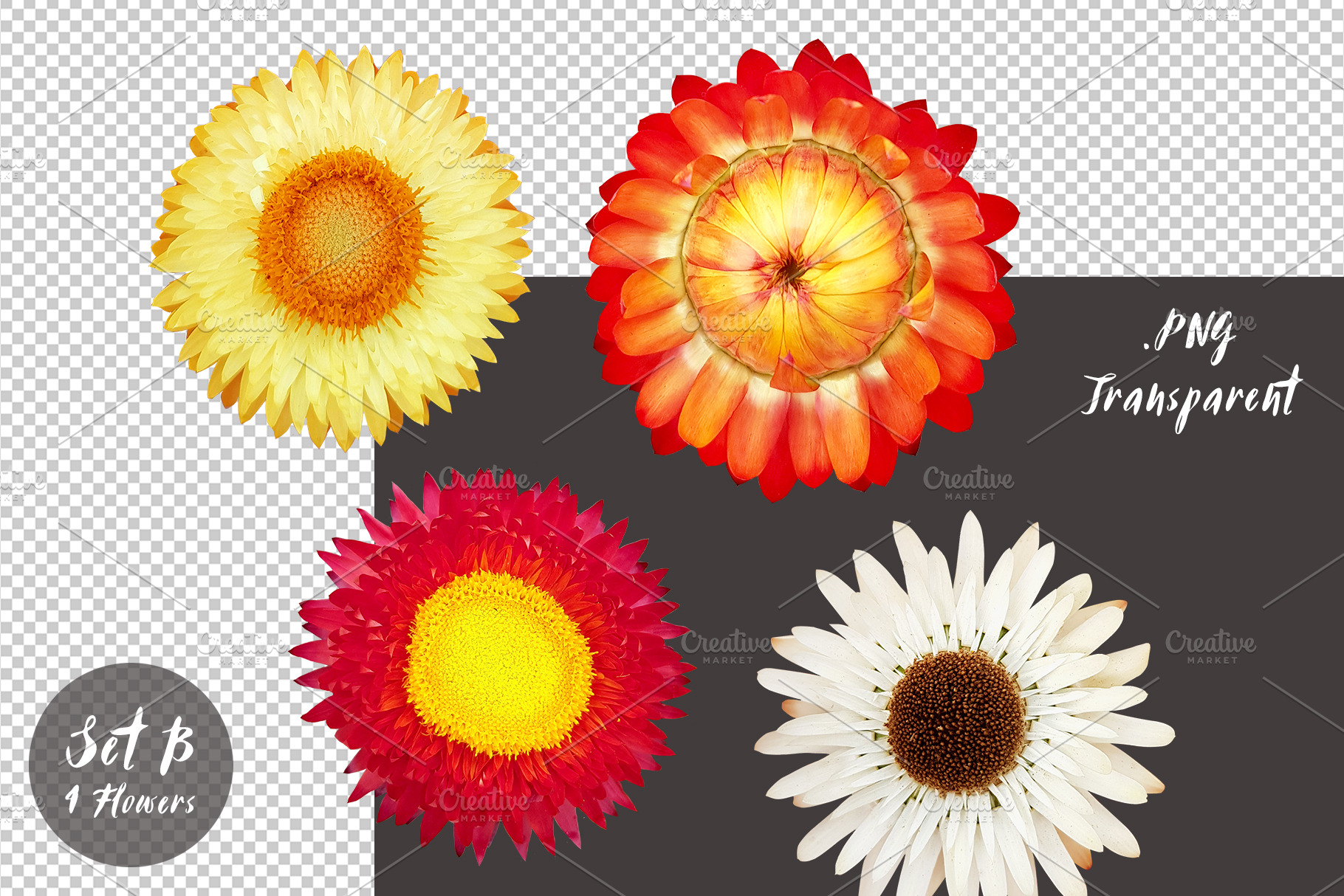 Die-cut Flowers Set B, a Nature Photo by aniunova