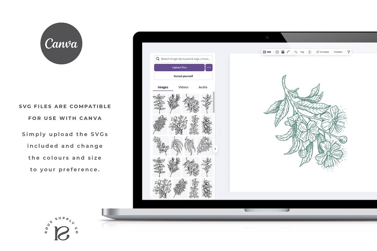 Australian Aromatic Botanicals Set, a Decorative Illustration by rouxsupplyco (Photo 7 of 8)