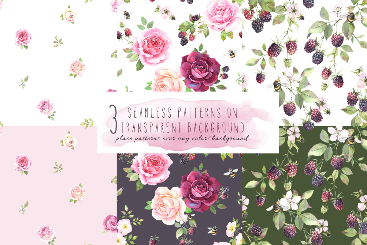 Watercolor rose and blackberry set, an Illustration by PS_patterns (Photo 3 of 6)