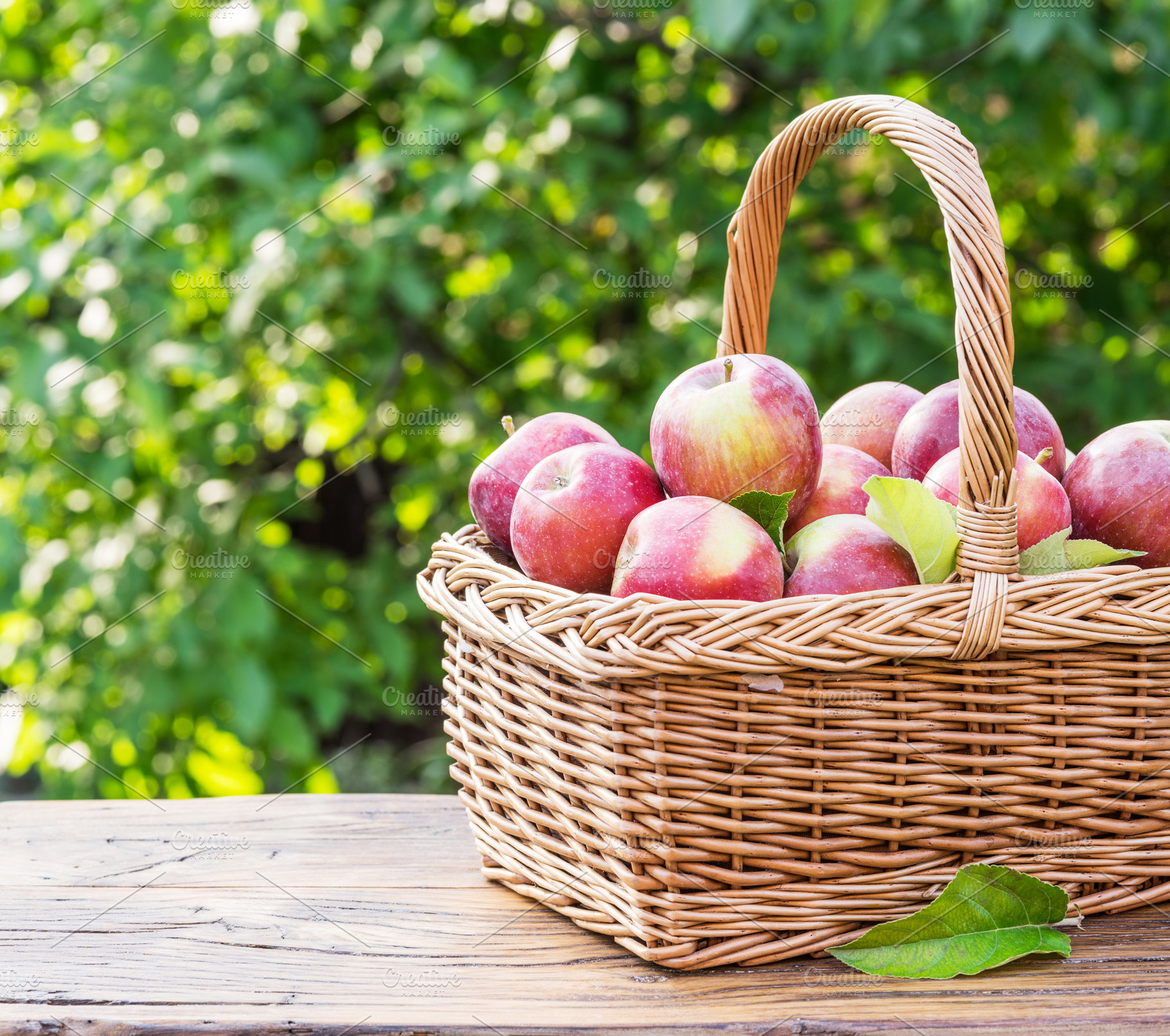 Apple harvest. Ripe red apples in the basket on the table., a Food & Drink Photo by Volff