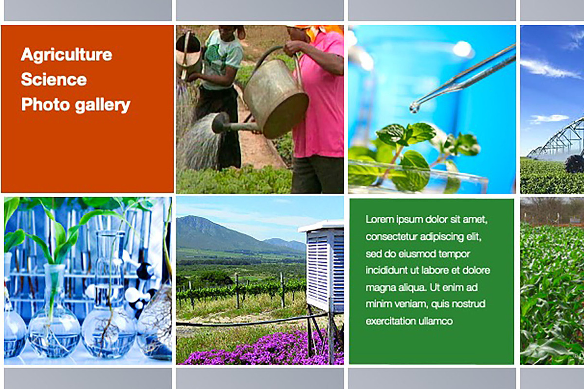 Colorful Template For Any Use, a Templates & Theme by Iconography - Pitch Deck (Photo 28 of 36)