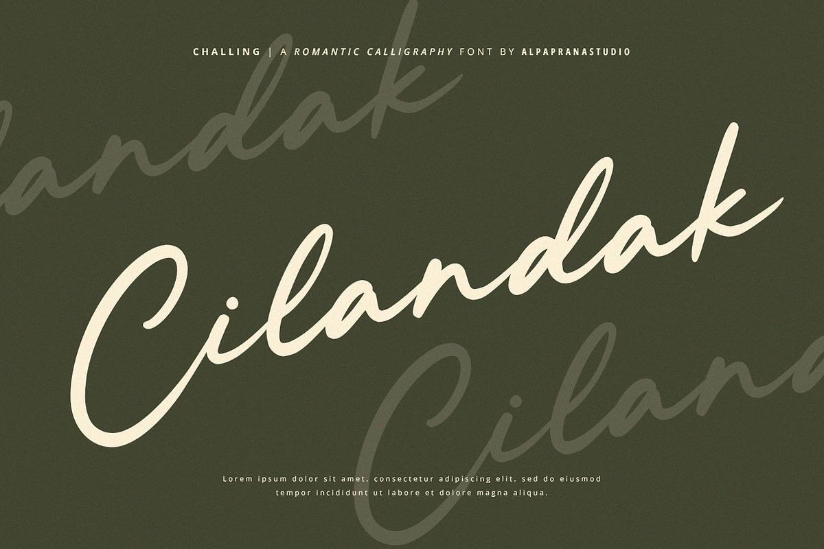 Challing - Romantic Calligraphy Font, a Script Font by Alpaprana (Photo 6 of 12)