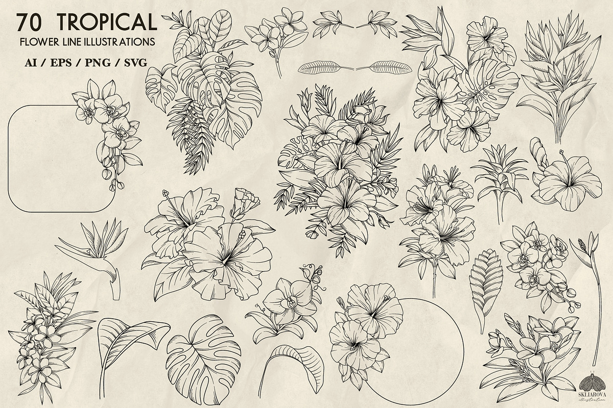 Tropical floral line art + Procreate, a Decorative Illustration by Skliarova (Photo 3 of 4)