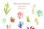 Sea World Watercolor Clipart, an Animal Illustration by Pixavics (Thumbnail 4 of 5)