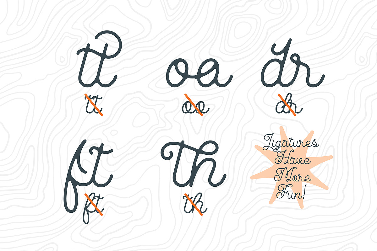 Wayfinder, a Script Font by Dead Moose Studio (Photo 11 of 11)