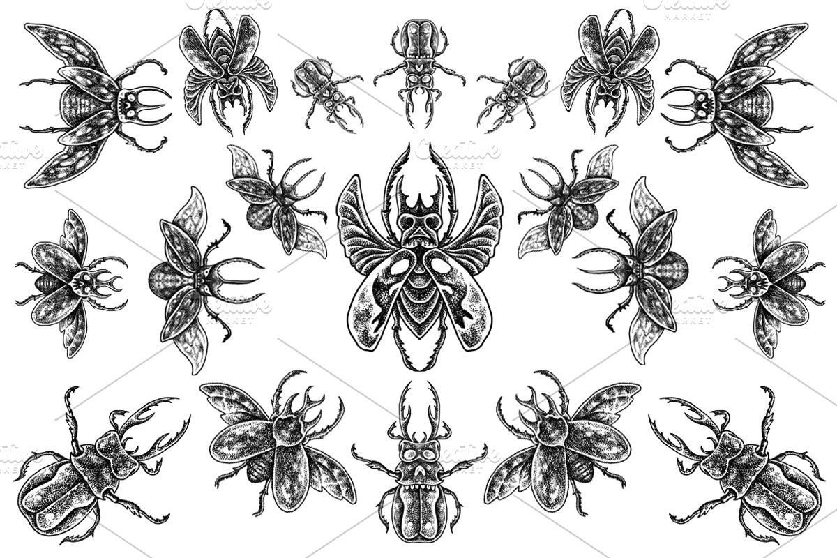 Beetle horn - Tattoo style, an Animal Illustration by Design by sebrodbrick