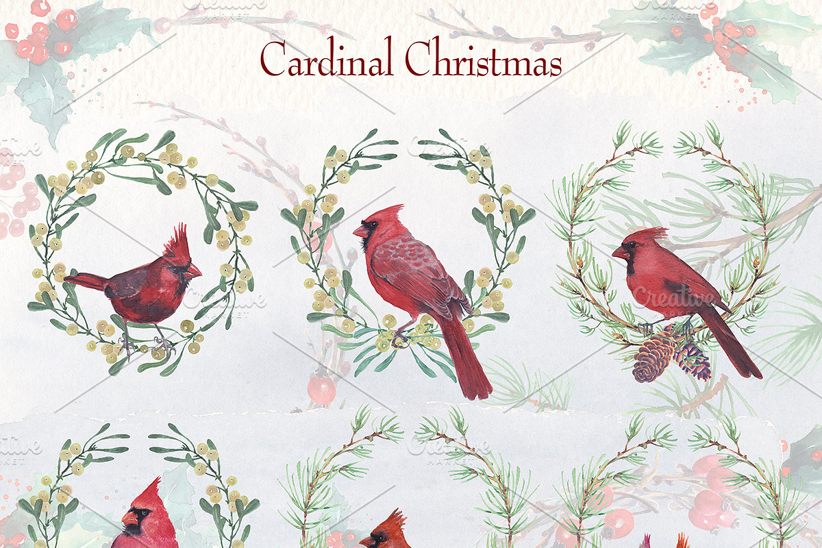 cardinal christmas watercolor, a Decorative Illustration by Art & Things (Photo 7 of 11)