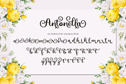 Antonella Script, a Script Font by Bosstype Studio (Thumbnail 7 of 8)