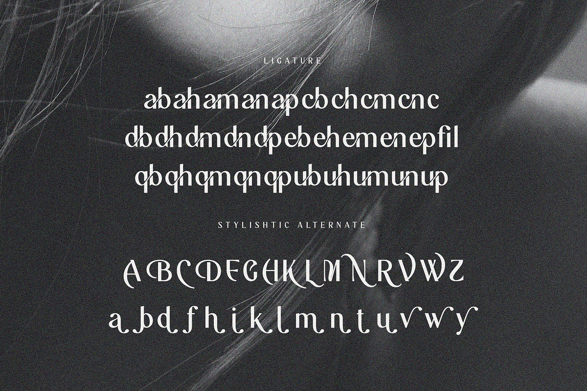 The Crunch - Elegant Sans Serif Font, a Sans Serif Font by Pen Culture (Photo 9 of 10)