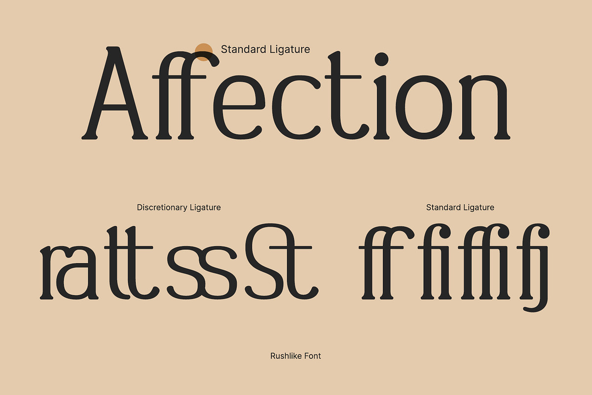 Rushlike, a Serif Font by yumnatype (Photo 9 of 10)