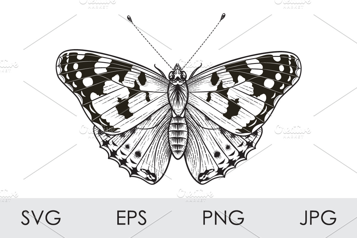 Monochrome Painted Lady Butterfly, a Decorative Illustration by Valentyna Smordova (Photo 1 of 2)