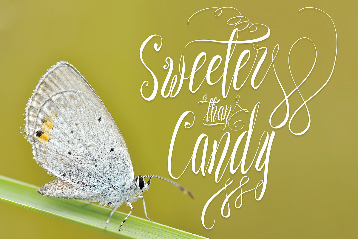 Sweeter than Candy Script