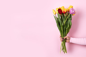 Woman's hand holding a colorful bouquet of tulips against a past, a Holiday Photo by Ales Munt