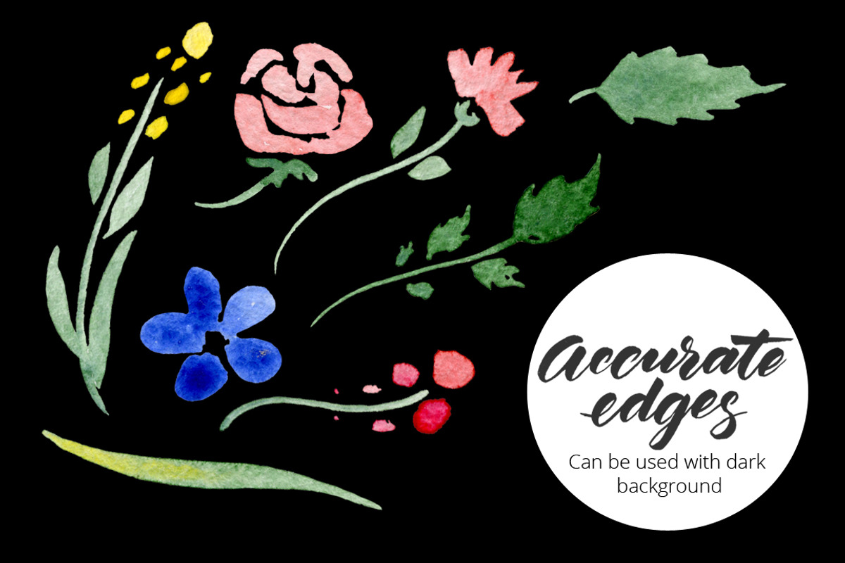 DIY Watercolor flowers. 190 elements, a Decorative Illustration by Olga Proz (Photo 4 of 5)