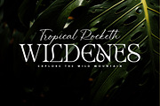 Silent Noise// Modern Font Duo, a Serif Font by Dora Typefoundry (Thumbnail 9 of 12)