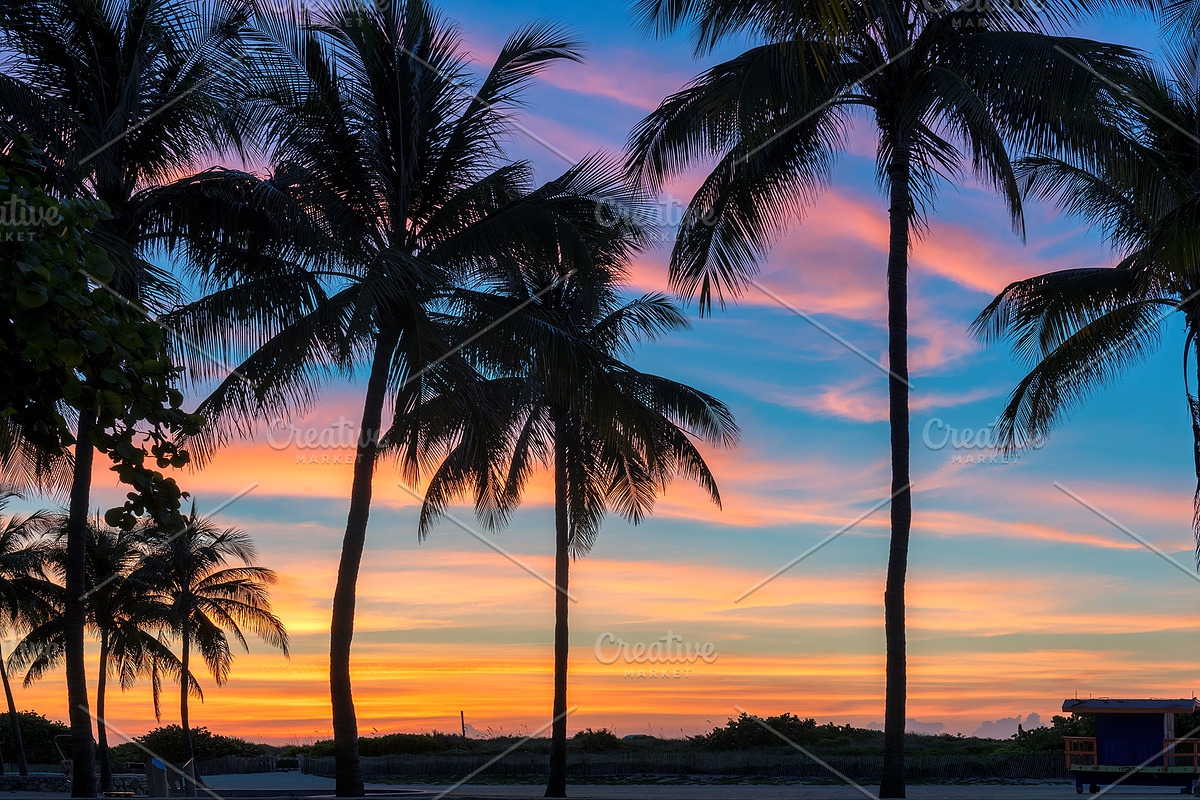 Coco palms at sunrise in miami beach containing sunset, beach, and palm, a Nature Photo by Lucky Photographer (Photo 1 of 2)