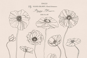 Hand Drawn Floral Elements - Poppies