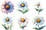 Watercolor Spring Daisy Flower Clipa, an Illustration by DreamPrint404 (Thumbnail 4 of 7)