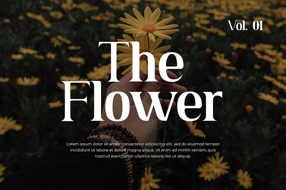 Tribenidaz Serif Display Font, a Serif Font by UICreative (Photo 2 of 4)