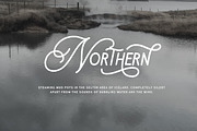 Daily Magnolines - Monoline Typeface, a Handwritten Font by Letterhend Studio (Thumbnail 2 of 9)