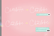 Charlotte Script with 120 ligatures, a Script Font by Blessed Print (Thumbnail 13 of 19)