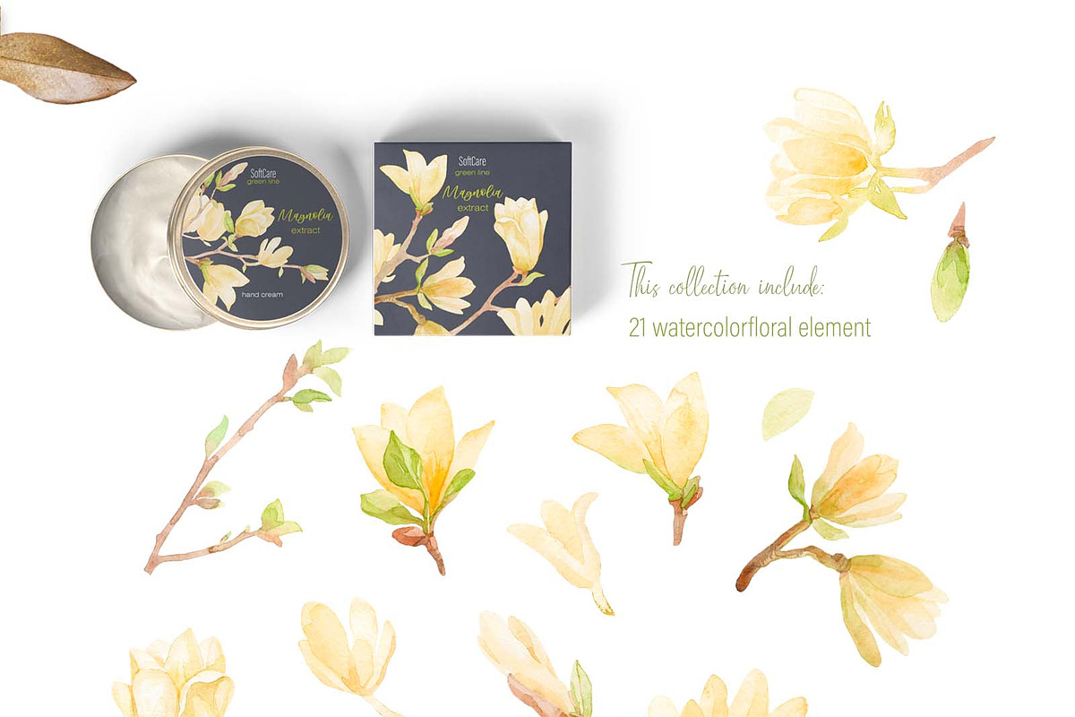 Magnolia blossom watercolor, a Decorative Illustration by My Wondercolor (Photo 3 of 6)