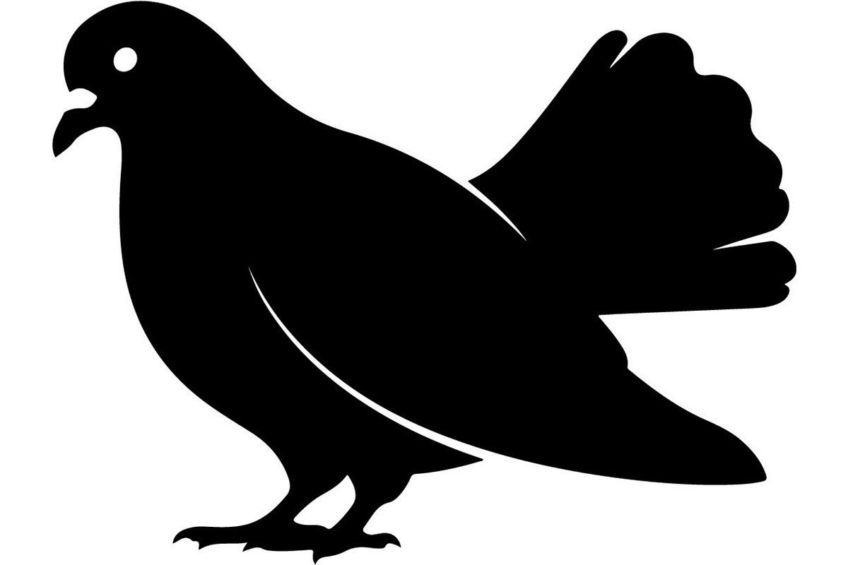 Bird Silhouette Vector Mega Bundle, an Animal Illustration by Designer_Momina (Photo 16 of 21)