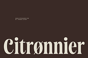 Saneco | Display Serif, a Serif Font by Jolicia Type (Thumbnail 6 of 12)