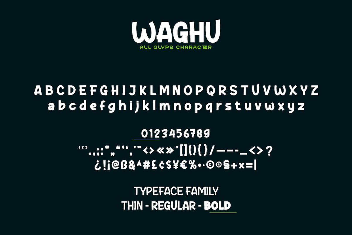 Waghu, a Sans Serif Font by twinstd (Photo 11 of 11)