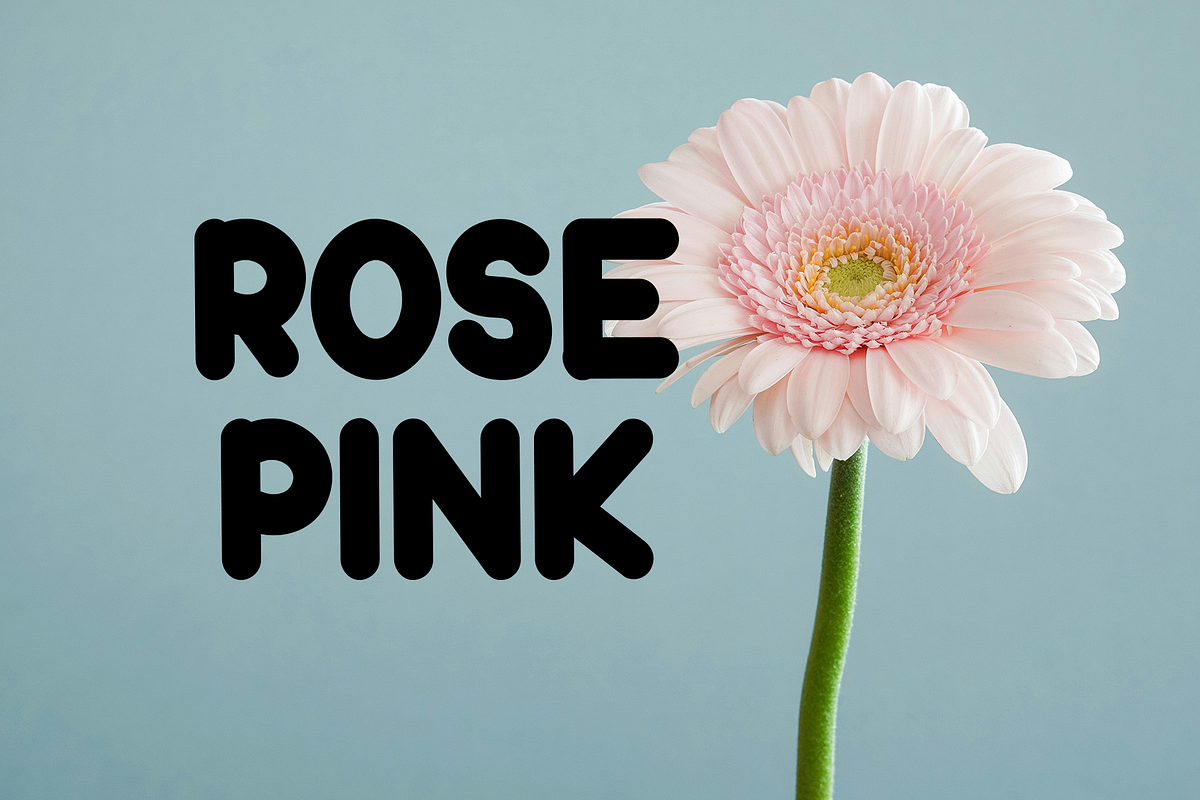 Baby Boho, a Sans Serif Font by FreshTypeINK (Photo 7 of 8)
