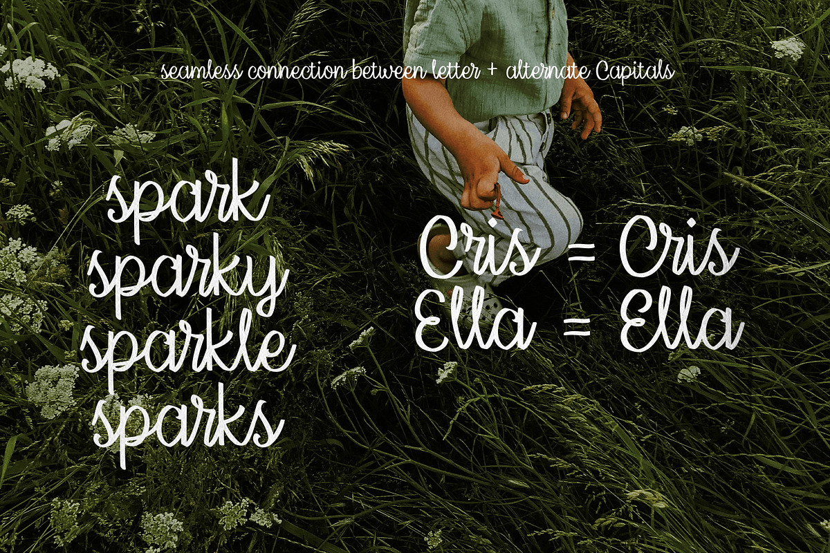Serendipity Script Calligraphy Font, a Script Font by Paridisce Creative (Photo 7 of 8)