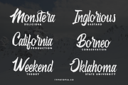 Antheme Script Typeface, a Script Font by edukka (Thumbnail 9 of 10)