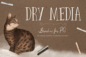 Dry Media. Brushes For PS