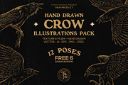 Crow Raven Illustrations pack, an Animal Illustration by Trape Graphic Studio (Thumbnail 1 of 7)