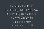 Gold Lines; Elegant Font Duo, a Script Font by Eko Bimantara (Thumbnail 20 of 20)
