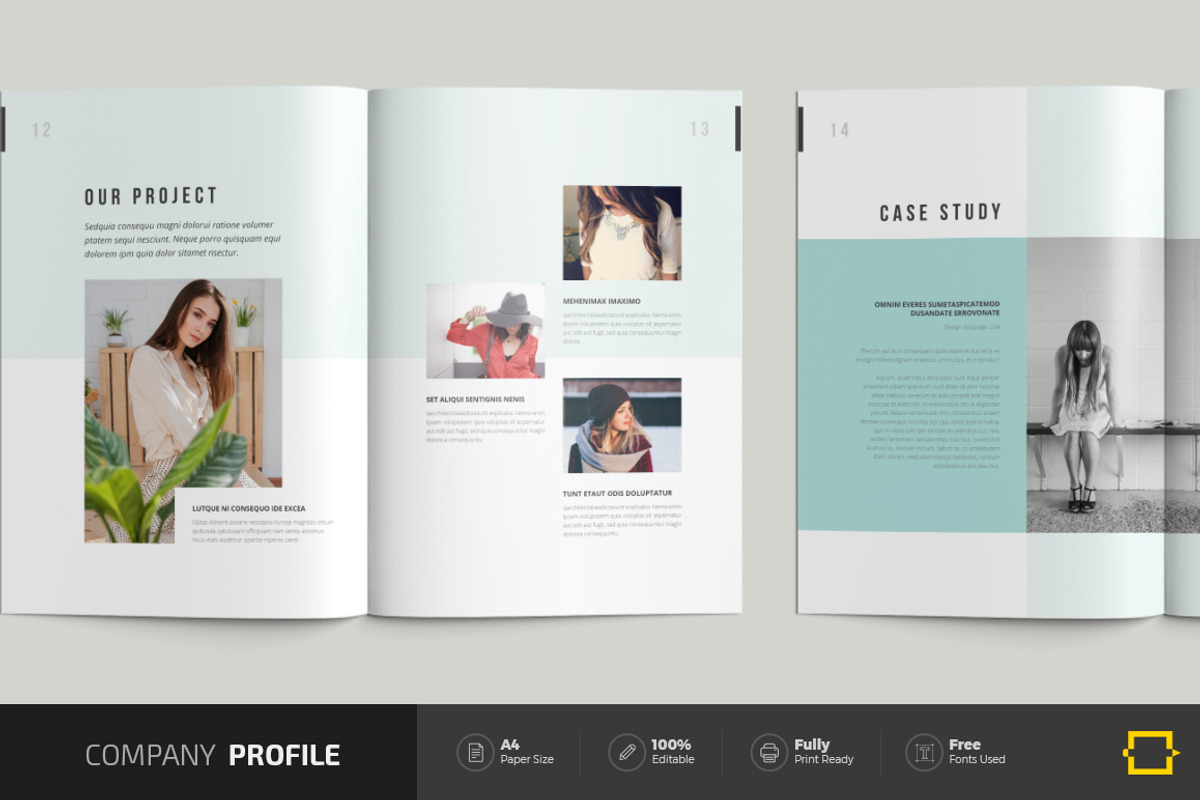 Company Profile Brochure, a Brochure Template by DesignJanala (Photo 7 of 10)