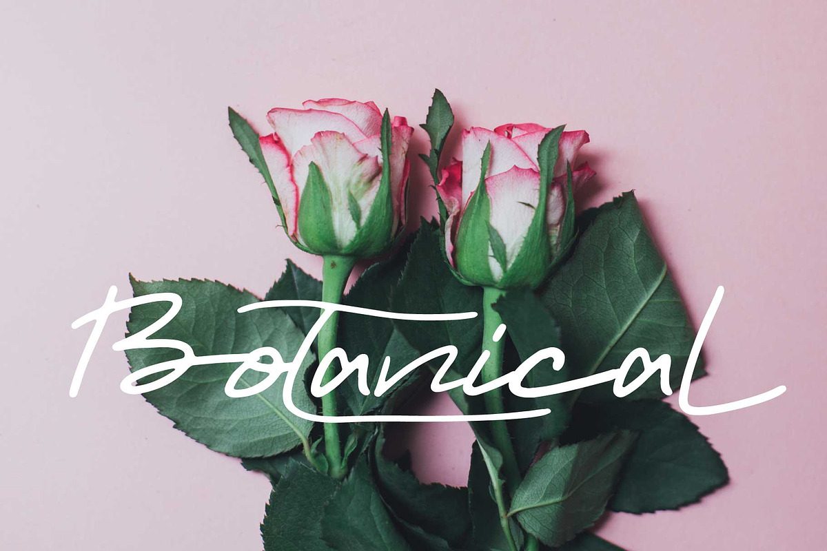 morano font