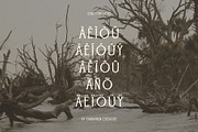 Driftwood, a Serif Font by Fairwren Creative (Thumbnail 4 of 6)