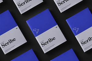 Macaw - Serif Typeface