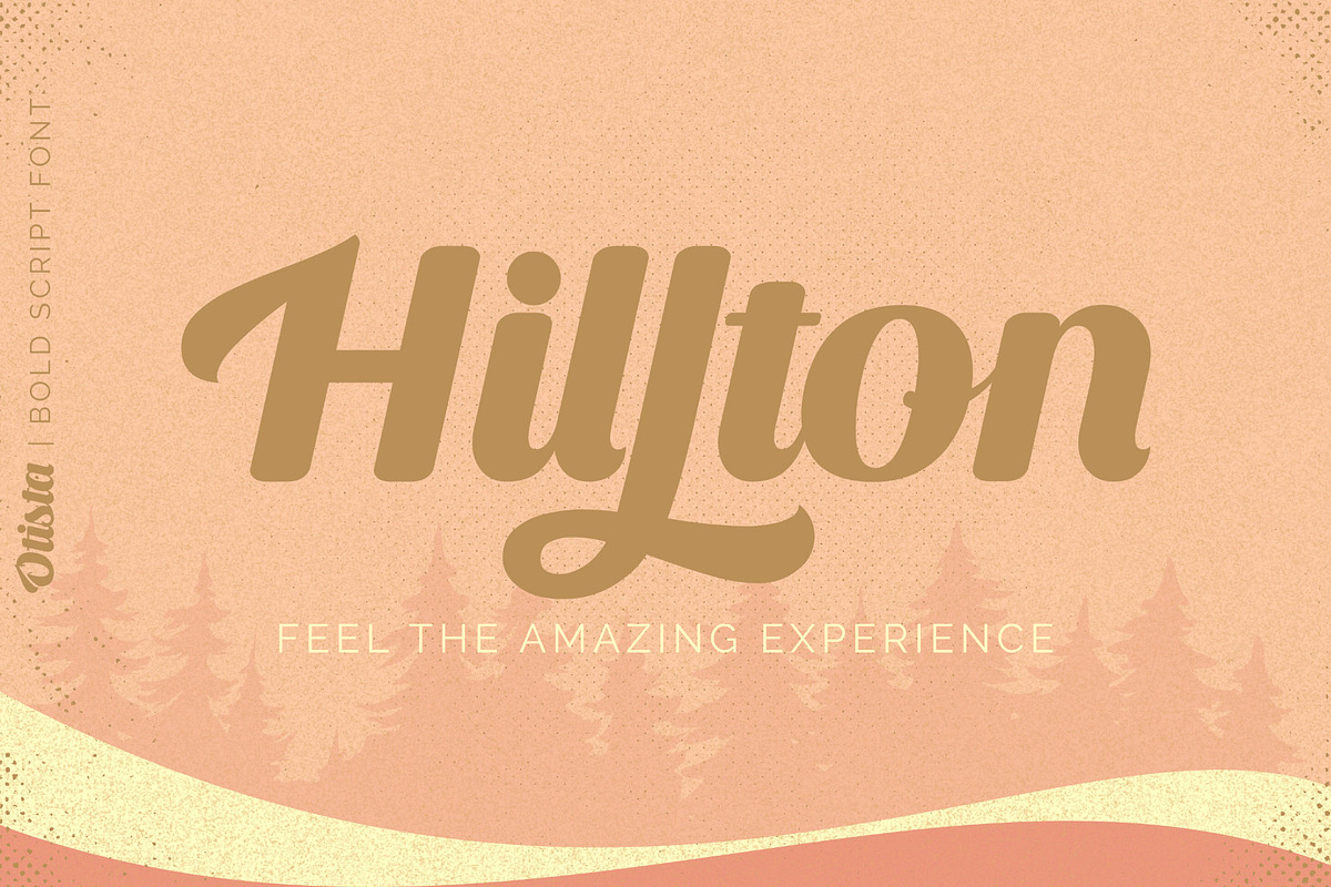 Otista, a Script Font by Omotu Studio (Photo 5 of 14)