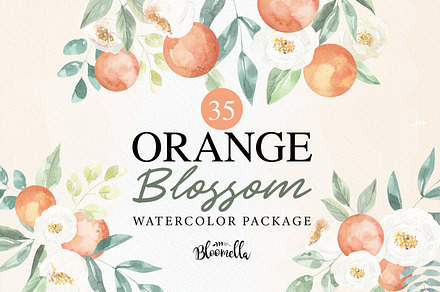 Orange Blossom 35 Watercolor Package